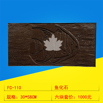 110 鱼化石